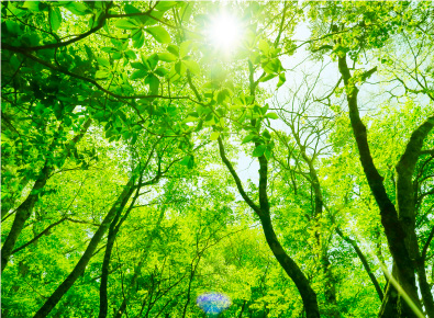 食品ロス削減への取り組み