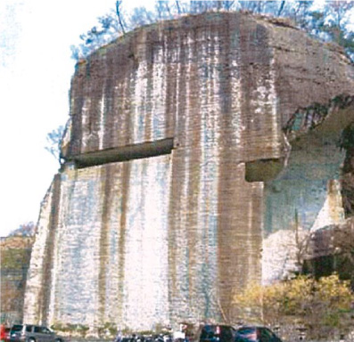 愛菜果の歴史イメージ